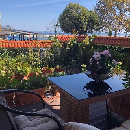 Breeze Guest House 切尔诺莫雷茨 外观 照片