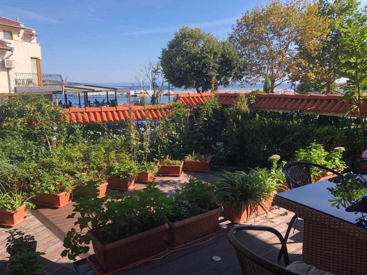 Breeze Guest House 切尔诺莫雷茨 外观 照片